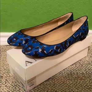 Ann Taylor Ballet Flats